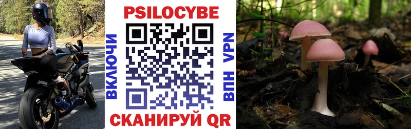 Псилоцибиновые грибы прущие грибы  магазин    Чадан 